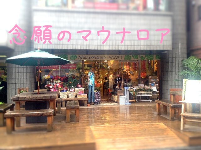恵比寿のマウナロア本店 ワンダフルデイズ