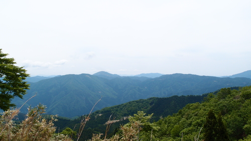 鳥取の　東山（とうせん）_e0024081_19194990.jpg