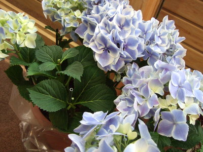 f0238081_0232525.jpg