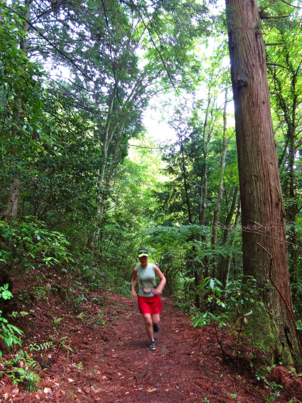 2012/05/29 八ヶ尾山_b0220886_10113585.jpg