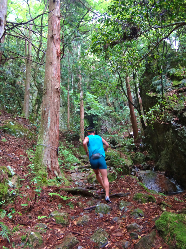 2012/05/29 八ヶ尾山_b0220886_1016405.jpg