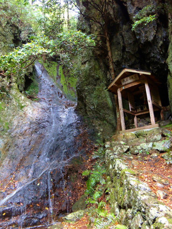 2012/05/29 八ヶ尾山_b0220886_1016493.jpg