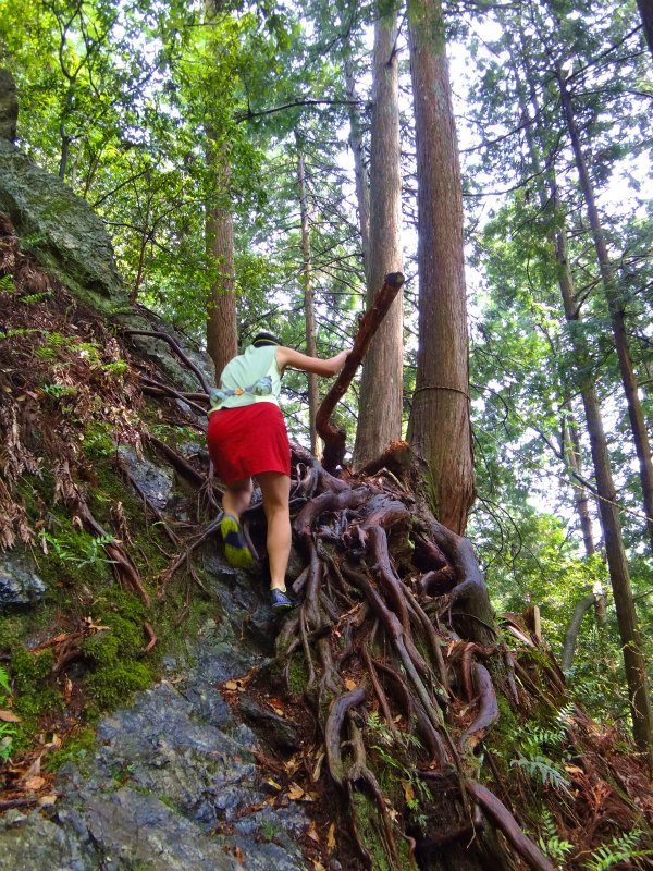 2012/05/29 八ヶ尾山_b0220886_1017134.jpg