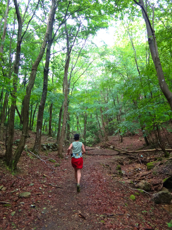 2012/05/29 八ヶ尾山_b0220886_10253921.jpg