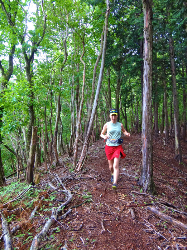 2012/05/29 八ヶ尾山_b0220886_1030096.jpg