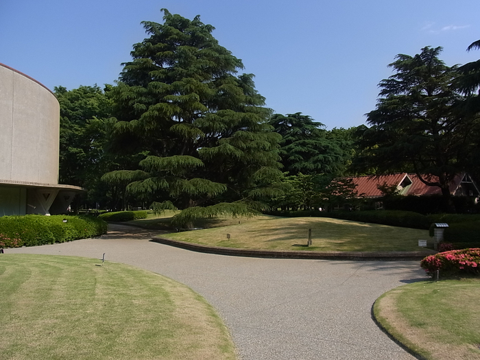 c0122788_92486.jpg