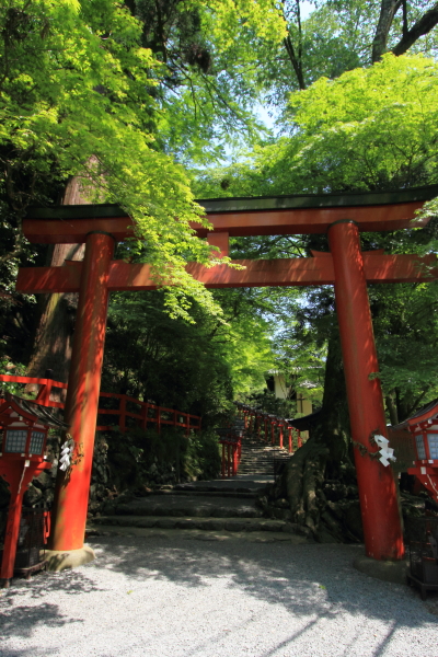 貴船神社_e0051888_23345460.jpg