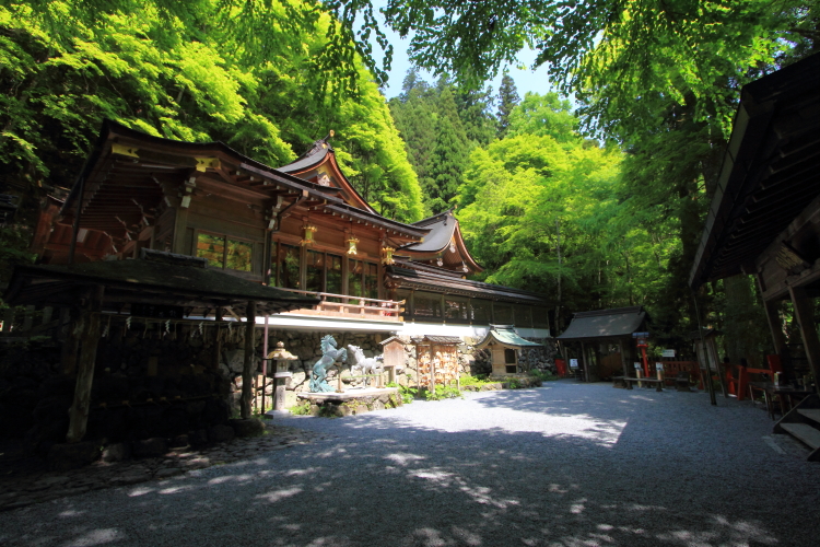 貴船神社_e0051888_23354796.jpg