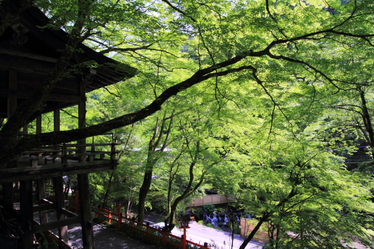 貴船神社_e0051888_23365350.jpg
