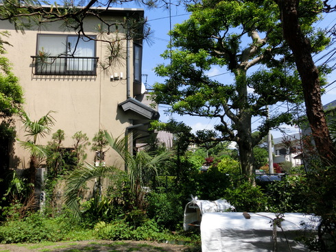 e0159192_2017787.jpg