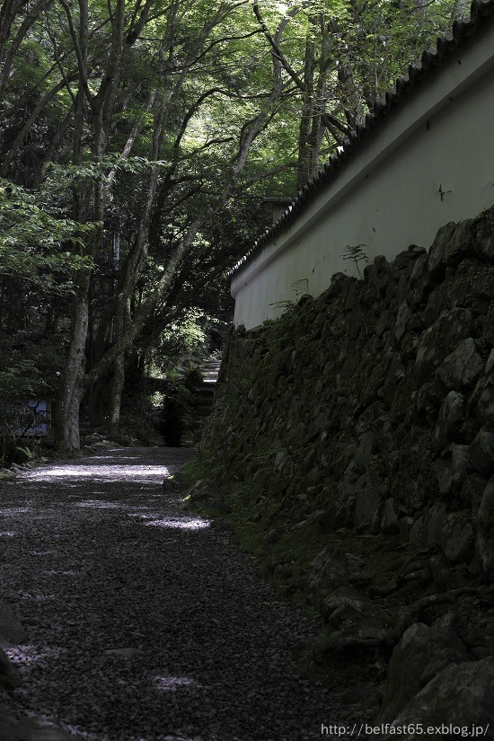 新緑の高山寺_f0095094_23313953.jpg