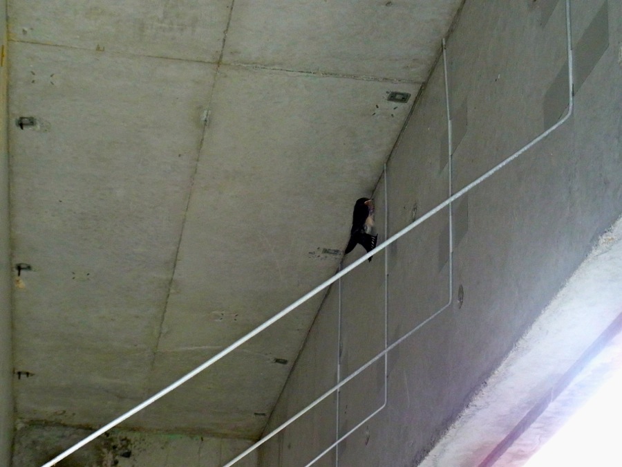 c0167798_13512180.jpg