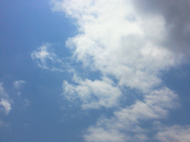 お休み明けです(≧▼≦)_c0140599_1204999.jpg