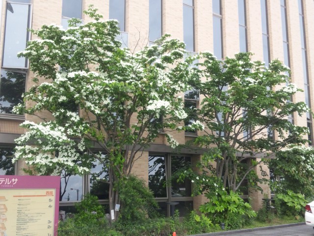 e0252905_075135.jpg
