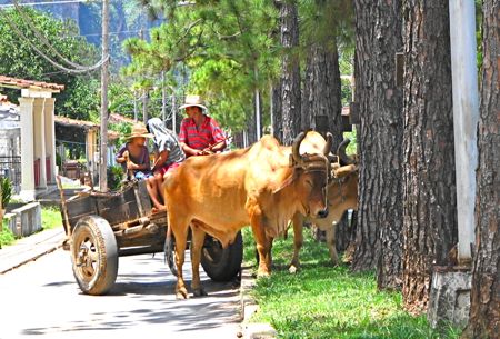 キューバ『ビニャーレス』という村に『のんびり』する Viñales,CUBA _b0051109_10444450.jpg