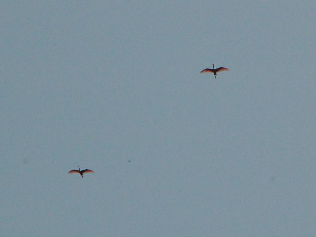 f0227709_1431978.jpg
