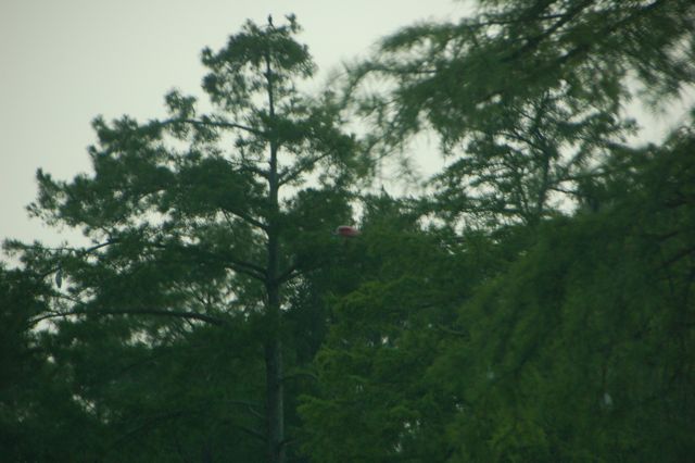 f0227709_14345739.jpg