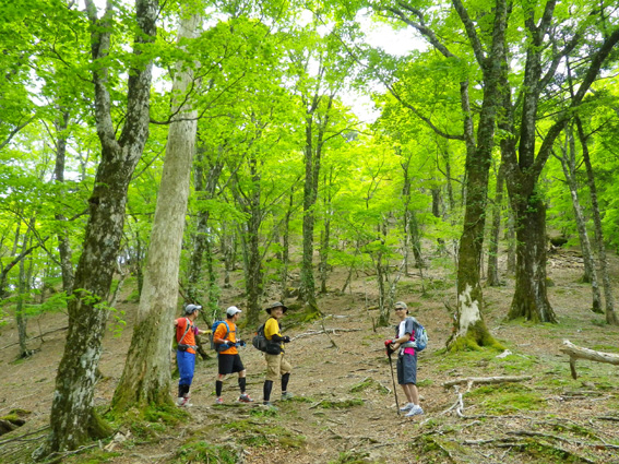 2012.05.28(月) 遠足クラブ大峰早駈(後半)_a0062810_16302067.jpg