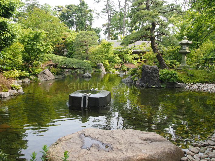 寒川神社_b0025511_11475330.jpg