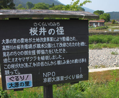 大原桜井の径_e0048413_20425020.jpg