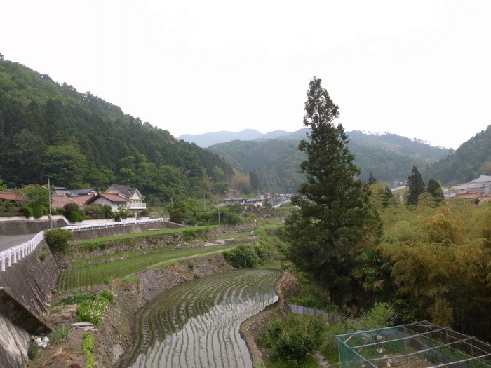薄曇り。。時に晴れ_c0116915_0282243.jpg