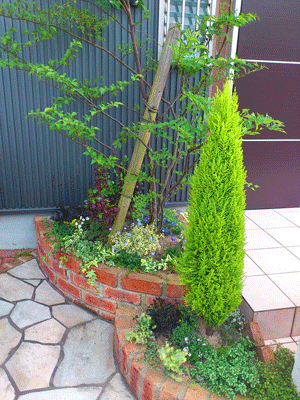 e0255026_1922645.gif