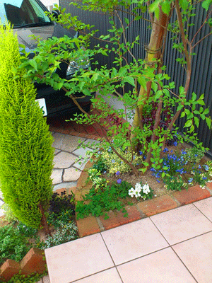 e0255026_192425.gif