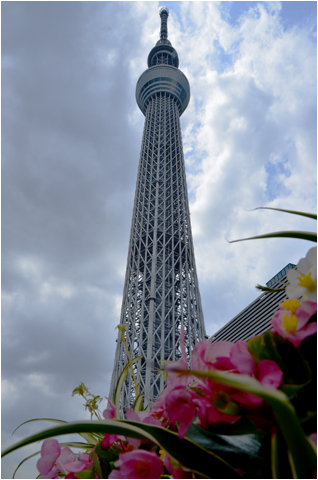 今、東京と云えば「東京スカイツリー」だ・・・_c0132230_940786.jpg