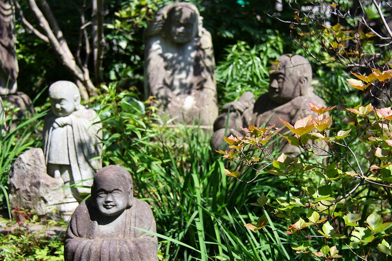 花の寺　常泉寺（神奈川県大和市）３_f0229832_9484778.jpg