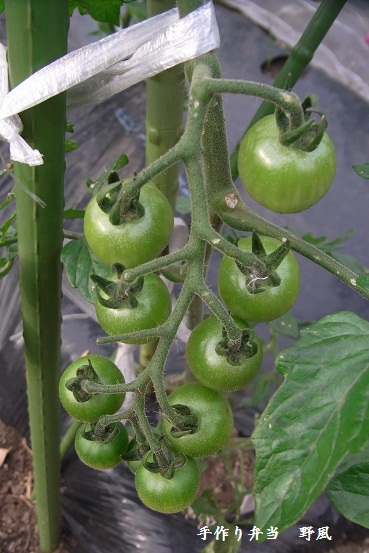 b0244034_712380.jpg
