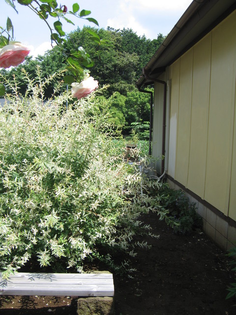 f0121836_43555.jpg