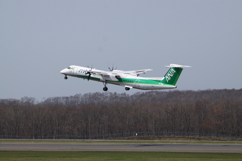 退役間近のMD90と緑のANA機 5月31日_f0113639_1825997.jpg