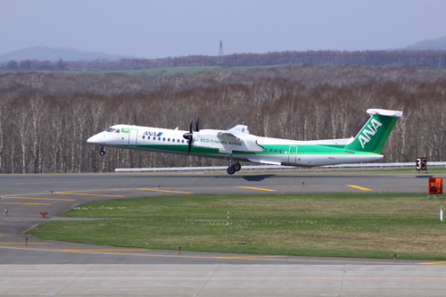 退役間近のMD90と緑のANA機 5月31日_f0113639_1826082.jpg