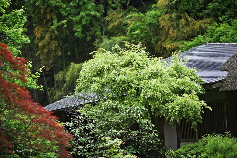 c0236843_2093292.jpg