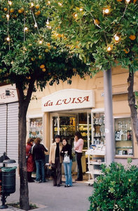 d0256349_012776.jpg