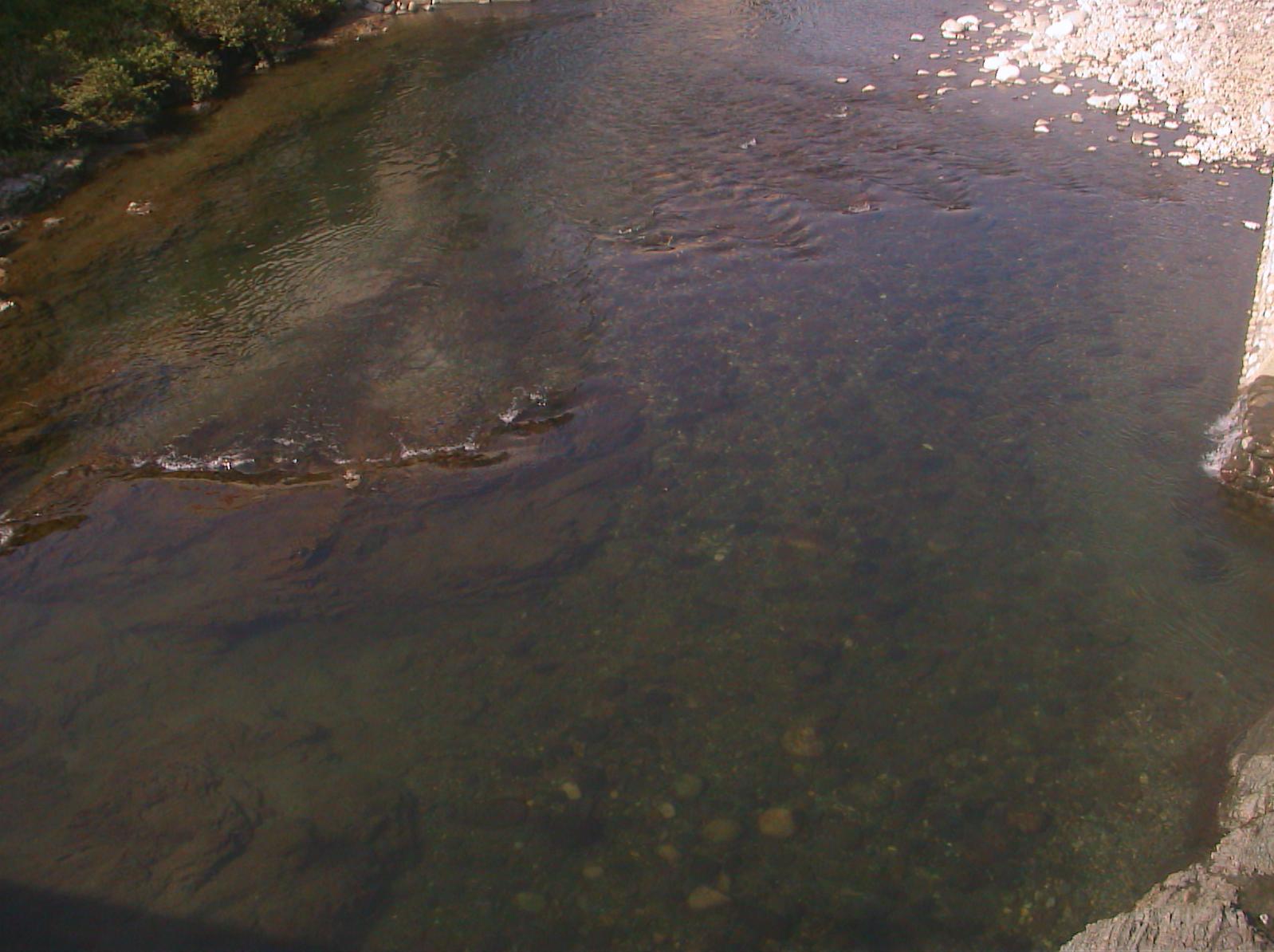 a0055650_84753.jpg