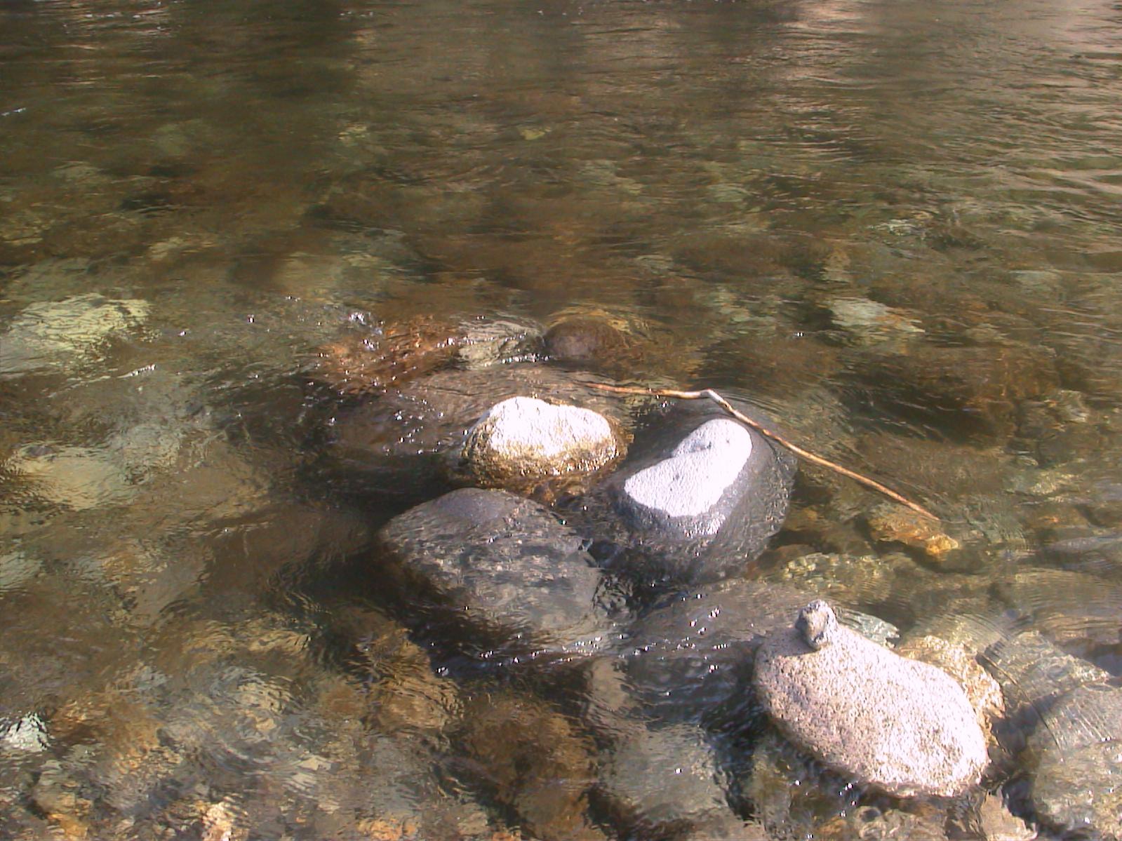a0055650_86094.jpg
