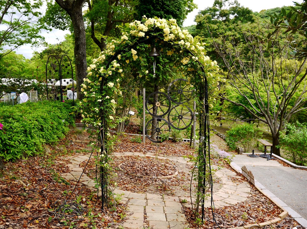 　　和歌山県植物公園緑花センターにて　　２０２５-０４-１４　００：００_b0093754_21255919.jpg