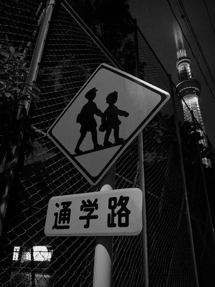 東京散歩 - GRDで撮るモノクロ風景 Part.37 -_a0155255_21165971.jpg