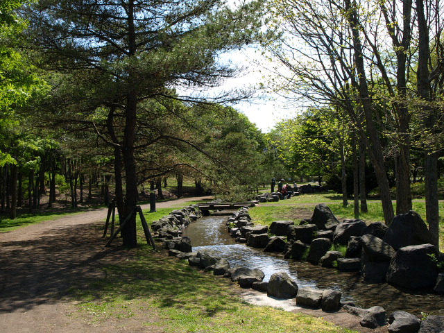 市民文化公園 5月_d0153062_826835.jpg