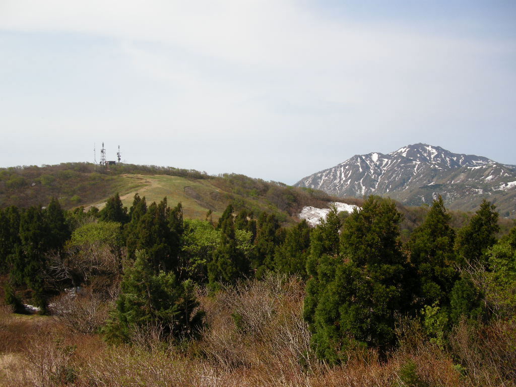 b0185573_92889.jpg