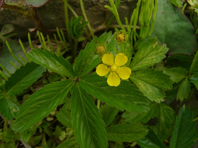 d0019074_8465570.jpg