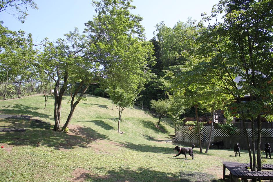 b0207376_23111537.jpg