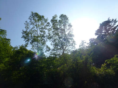 a0205377_15581285.jpg