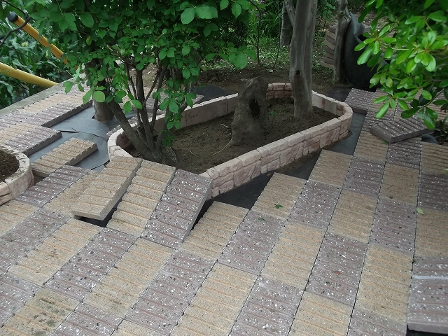 c0212083_2246374.jpg