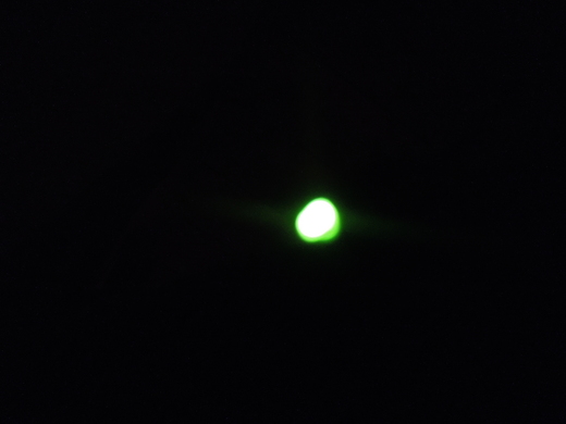 燕と蛍。_d0195183_231852.jpg