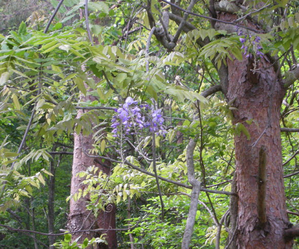b0173886_10574910.jpg