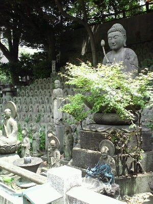 e0153994_1744767.jpg