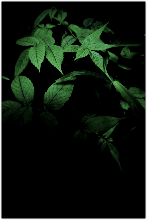 f0105694_12195061.png