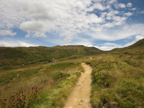 c0180096_4455254.jpg